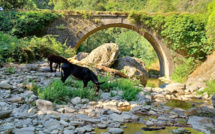 La météo du mercredi 3 aout 2022 en Corse