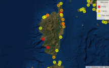 Sur quelles plages corses trouve-t-on le plus de méduses ?