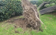 Orages en Corse: un mort et un blessé grave dans un camping de Sagone