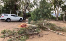 Tempête en Corse : le bilan s'alourdit. Une troisième personne décède. 12 blessés