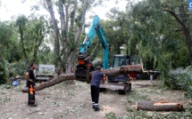 Au lendemain d'intempéries meurtrières, la Corse se réveille après une nuit sans nouveau drame