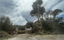 Tempête meurtrière en Corse : La colère des maires après l'arrêté de catastrophe naturelle qui limite l’indemnisation