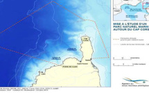 Mise à l’étude d’un parc naturel marin au nord de la Corse