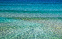 Baignade interdite sur la plage du Ruppione à Pietrosella