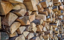 Crise énergétique : en Corse, la demande de bois de chauffage en forte hausse