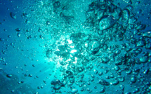 Calvi : baignade interdite sur la plage de la Pinède