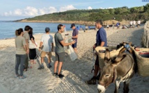 Ajaccio : sur la plage de Capo di Feno, pour le ramassage de déchets, l'union fait la force