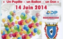 Journée nationale des sapeurs-pompiers à Ajaccio : Un pupille, un ballon, un don
