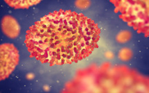 Un nouveau cas de variole du singe détecté en Corse