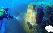 Plongée : Essai de la gamme de phares Azuru Diving