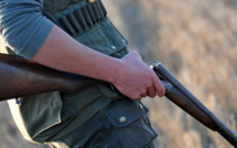 "Interdire l'alcool lors de la chasse": la proposition du Sénat qui interpelle les chasseurs corses 