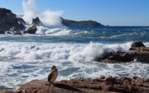 La photo du jour : la Revellata battue par les vagues