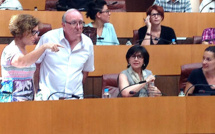 Economie Sociale et Solidaire : La Corse a besoin d’un cadre économique homogène et cohérent