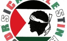 Ajaccio : Rassemblement de soutien au peuple palestinien mardi