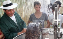 Fiera di l'alivu di Montegrossu : La 26ème Samedi et Dimanche