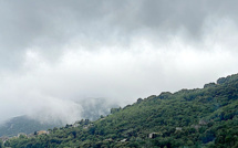 Pollution aux particules fines : dépassement du seuil d'alerte en Corse