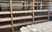 Brocciu, Munster, Fourme d’Ambert : des Labels Rouges et AOP assouplis avec la sécheresse