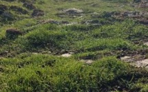 La météo du mardi 1er novembre 2022 en Corse