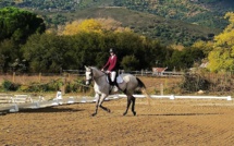 Circuit du "grand régional corse de dressage" : première étape, réussie, à Corti