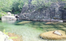 Bilharziose  : " Vous étiez en Corse, vous ne pouvez pas faire de don du sang en Suisse! "