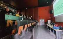 En Corse, on veut valoriser le bois de chêne vert