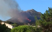 Santa Reparata di Balagna : 10 hectares déjà détruits par les flammes
