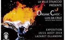 « Organic Choc » une exposition de l'artiste nex-yorkais  Luis Da Cruz au Lazaret-Ollandini
