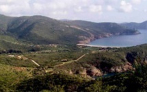 Le "oui" du directeur de l’environnement en Corse au maintien de l’inconstructibilité des ZNIEFF
