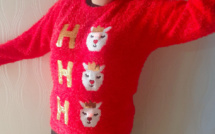 Ajaccio : La médiathèque des Cannes organise le concours Pull Moche de Noel