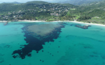 Autorisation de pêche, mouillages innovants : le Parc marin du Cap Corse et de l’Agriate cherche des solutions pour protéger l'écosystème