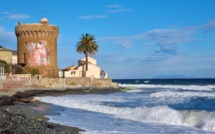 La photo du jour : les rouleaux de Miomu