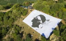 L’8 di dicembre, a festa di a Nazione, trà elaburazione di a Custituzione Corsa è a prutezzione di a Vergine Maria