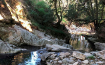 Biodiversité : la Fondation du patrimoine met l'accent sur le ruisseau de Lupino 