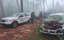 En Corse, gendarmes et agents de l'ONF mobilisés contre la délinquance forestière