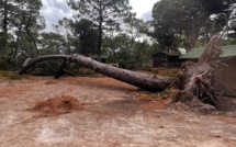 Climat en Corse : les événements extrêmes d'une année 2022 hors norme