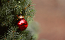 Grand Bastia : Voici les points de collecte des sapins de Noël