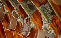 Le premier salon de la chasse en Corse aura lieu au printemps à l'Ile-Rousse