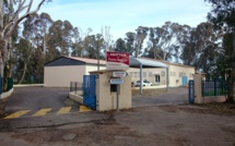 Abattoirs de Corse : un schéma territorial et des défis à relever