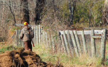 Les règles de "sécurité à la chasse" évoluent : qu'en pensent les chasseurs corses ?