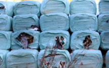 Où en sont les projets de centres de sur-tri d'Ajaccio et Monte dénoncés par Ecologia Sulidaria ?