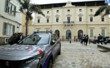 Un entrepreneur ajaccien condamné à 150.000 euros d'amende pour destruction de tortues protégées