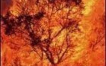 Risques d'incendie : Appel à la prudence en Balagne
