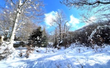 EN IMAGES - Un dimanche à la neige à Vizzavona