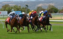 Ajaccio : il gagne 113 744 € au Quinté+