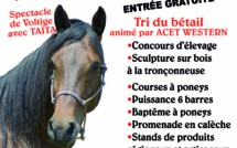 Biguglia : Les journées du cheval et de l'âne