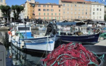 Corse : l'arrêté préfectoral sur le denti qui irrite les pêcheurs