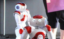 Fête de la Science : Le robot Nao partenaire du… département informatique de l'université