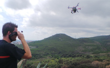 Les écobuages toujours interdits en Corse du Sud