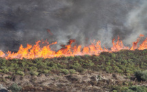L'incendie de Calenzana a parcouru près de 100 hectares