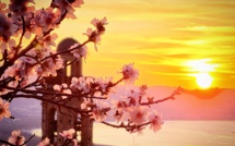 La photo du jour : le magnique spectacle d'un coucher de soleil sur Lumiu